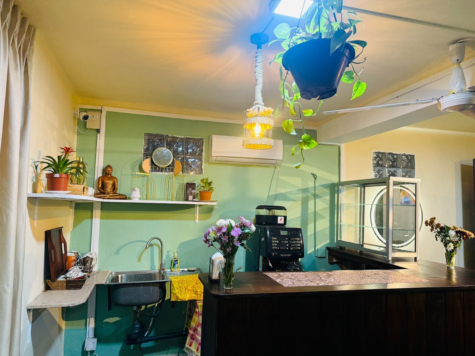 Earth Leaf counter area and interior